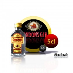 Botella miniatura ginebra Gordon´s