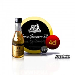 Comprar botellita brandy Napoleon