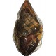 Jamón serrano reserva deshuesado al vacío