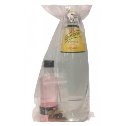 Pack Puerto de Indias Strawberry Gintonic con especias para empresa