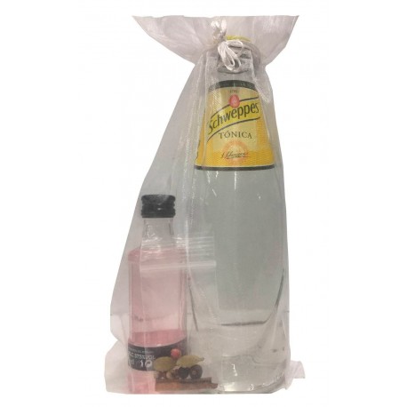 Pack Puerto de Indias Strawberry Gintonic con especias para empresa