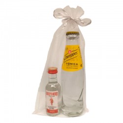 Lote Gin Tonic con Beefeater para empresa